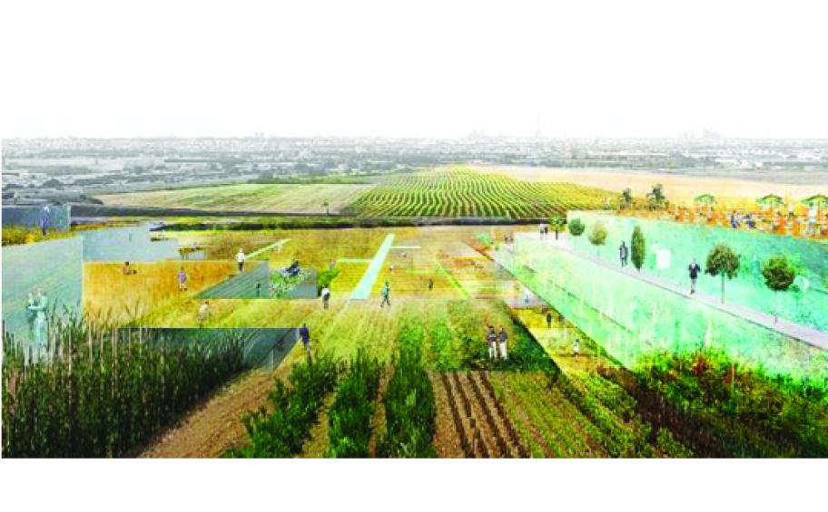 The many facets of urban farming