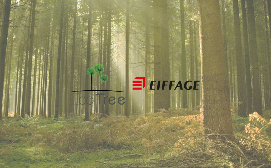 Eiffage supports the forestry developent in France with Ecotree