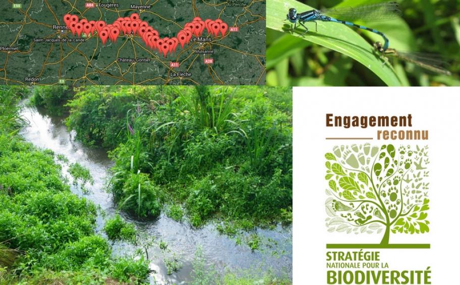 Eiffage contribue à l’amélioration de la connaissance nationale sur la biodiversité