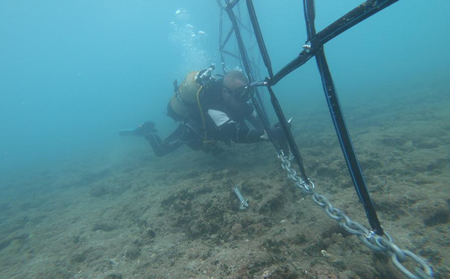 Full-scale test for Hydrotech's shark nets