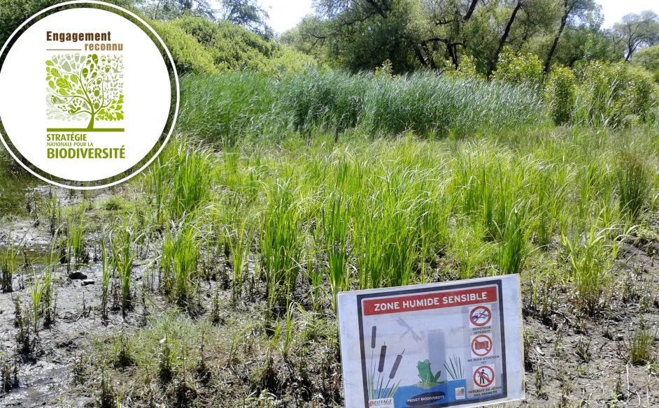 Nos engagements en faveur de la biodiversité reconnus et reconduits !