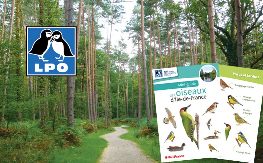 Lancement des inscriptions pour la balade ornithologique le 26 mai !