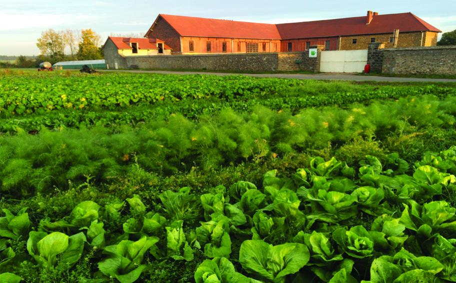 Fondation Eiffage : nouveau partenariat pluriannuel avec le réseau des Jardins de Cocagne