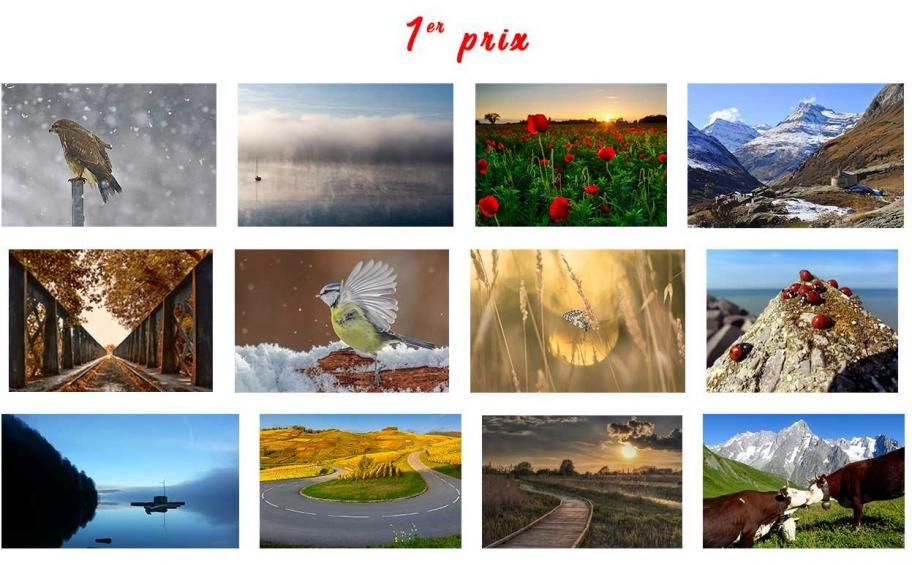 Congratulations to the winners of the 2017 photo contest : « The 4 seasons on earth »