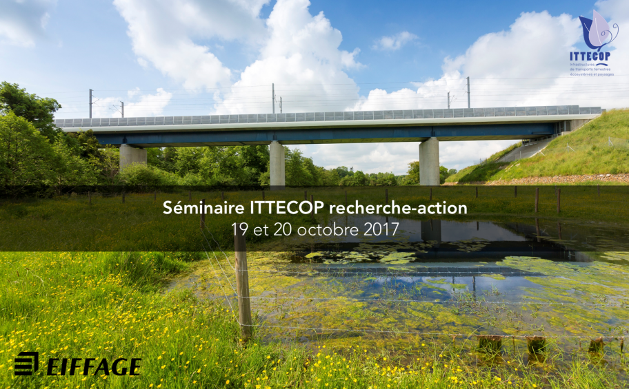Infrastructures, biodiversity and landscape : Eiffage will take part to the Ittecop’s seminar on October 19th and 20th