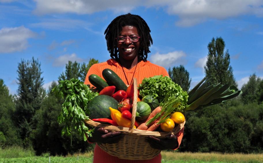 La Fondation Eiffage soutient les Jardins du Volvestre : maraîchage biologique et insertion de 30 personnes en difficulté