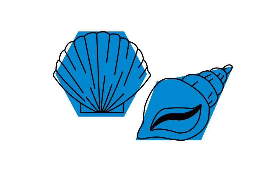 Eiffage Route is taking part in the Libarot project, which aims to incorporate shellfish co-products into our roads.