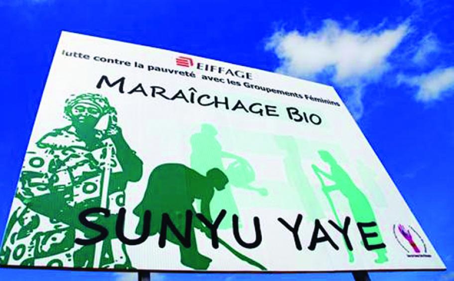 Senac SA développe l’agriculture raisonnée à proximité de l’autoroute de Dakar